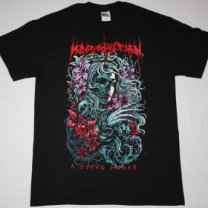 HEAVEN SHALL BURN A DYING EMBER NEW BLACK T-SHIRT